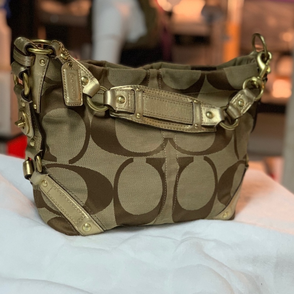 Coach  Carly Signature Hobo Bag